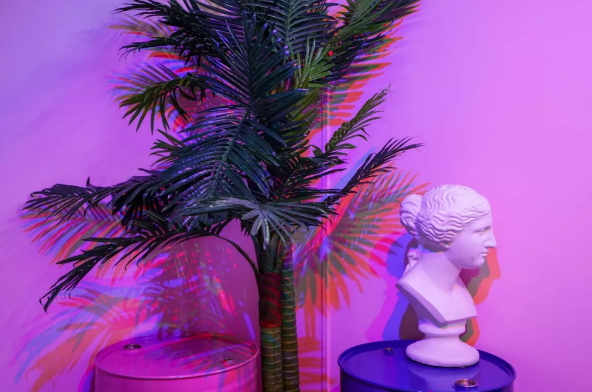 2020怪诞之旅展览杭州站（时间、地点、购票地址）