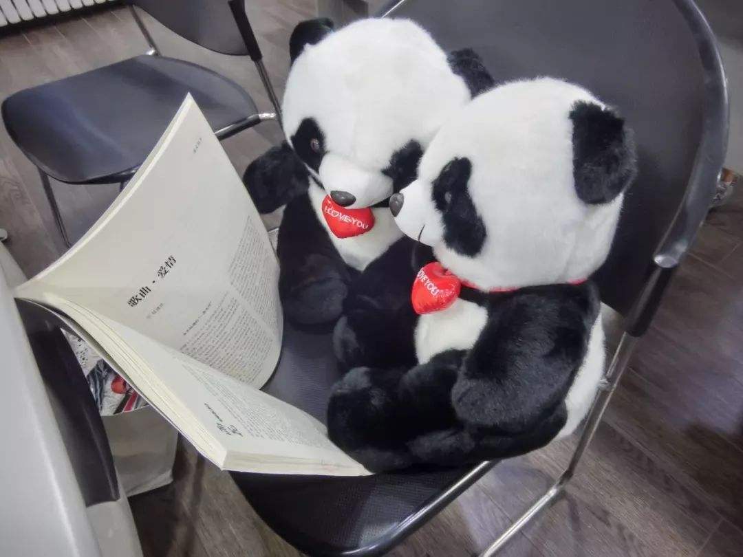 2020西安失恋博物馆（时间+地点+购票指南）