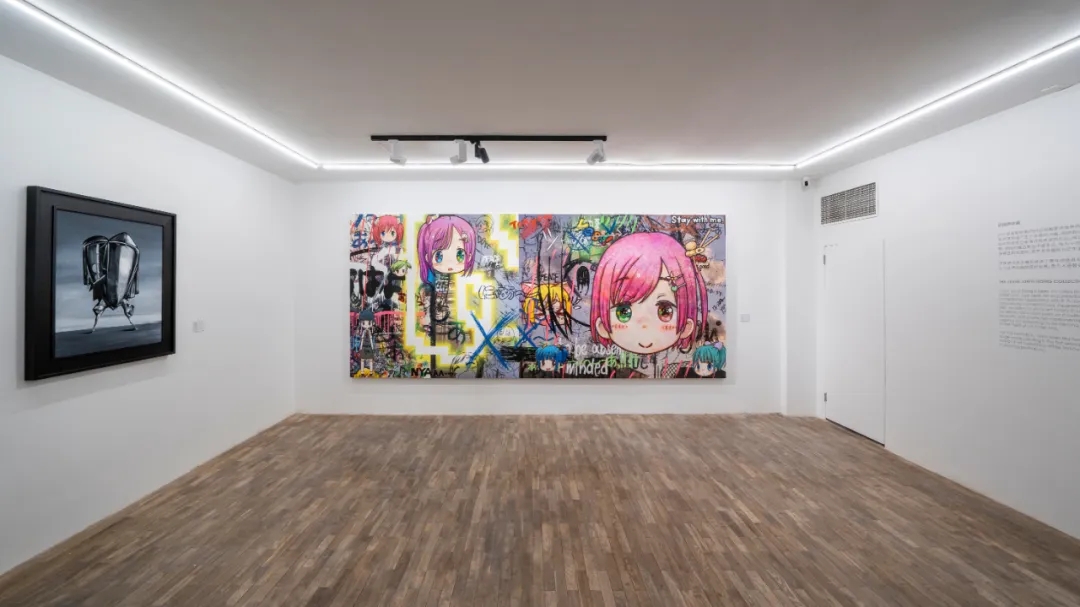 北京展览一个人的房间