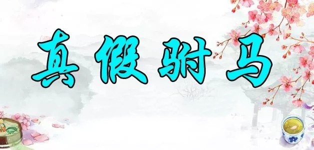 2020越剧《真假驸马》上海站