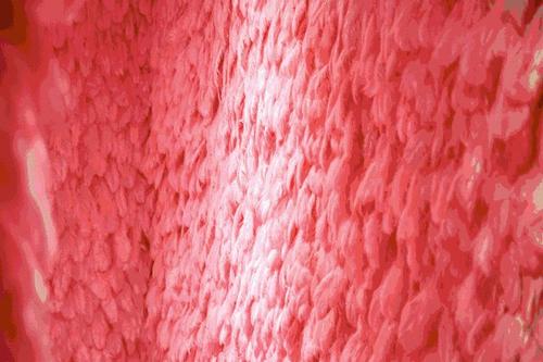 2020长春抖拍星空艺术馆