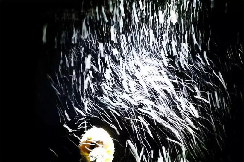 2022话剧《我只是比较容易放弃》大连站（时间+地点+订票攻略）