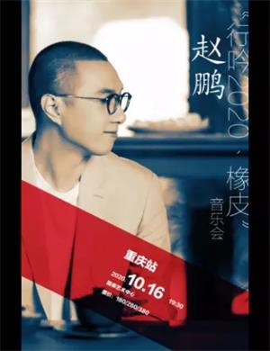 2020赵鹏重庆演唱会