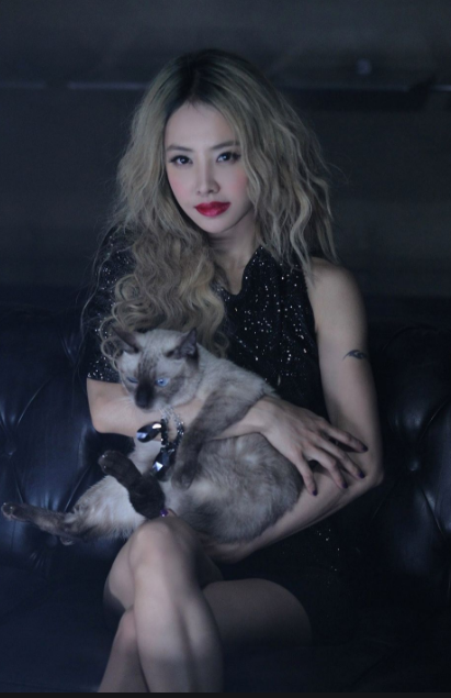 2023蔡依林南京演唱会（时间、场馆、购票信息）一览