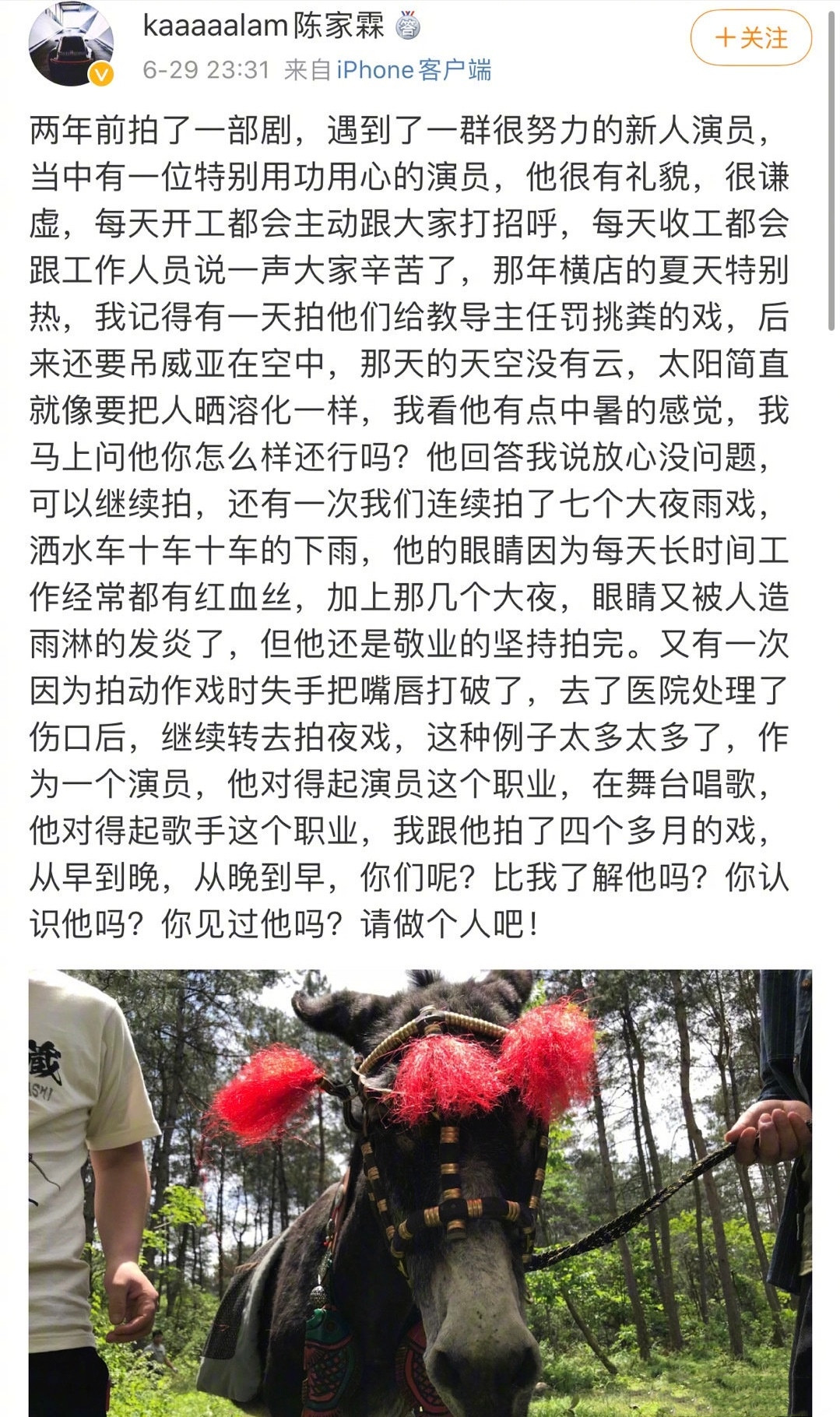 肖战被黑惨 《陈情令》导演疑似发文为他声援