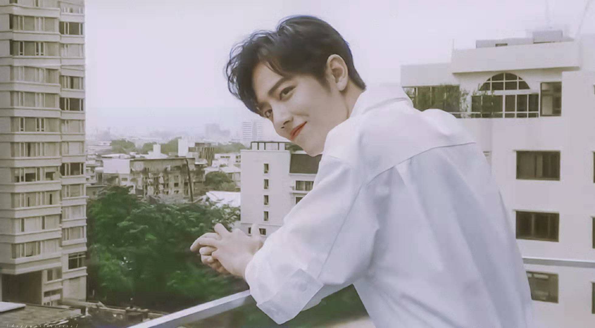 肖战提名第十一届金扫帚奖