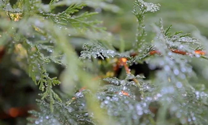 春分夏至杭州音乐会