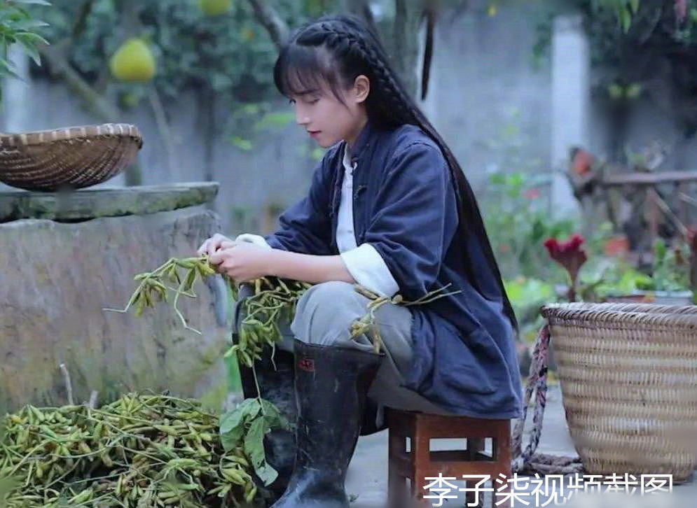 东施效颦 越南博主照搬李子柒