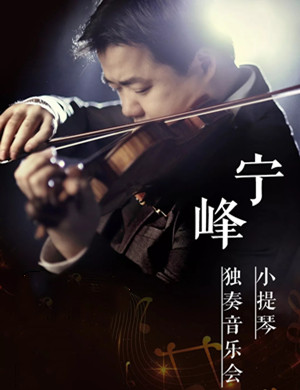 2020宁峰郑州音乐会