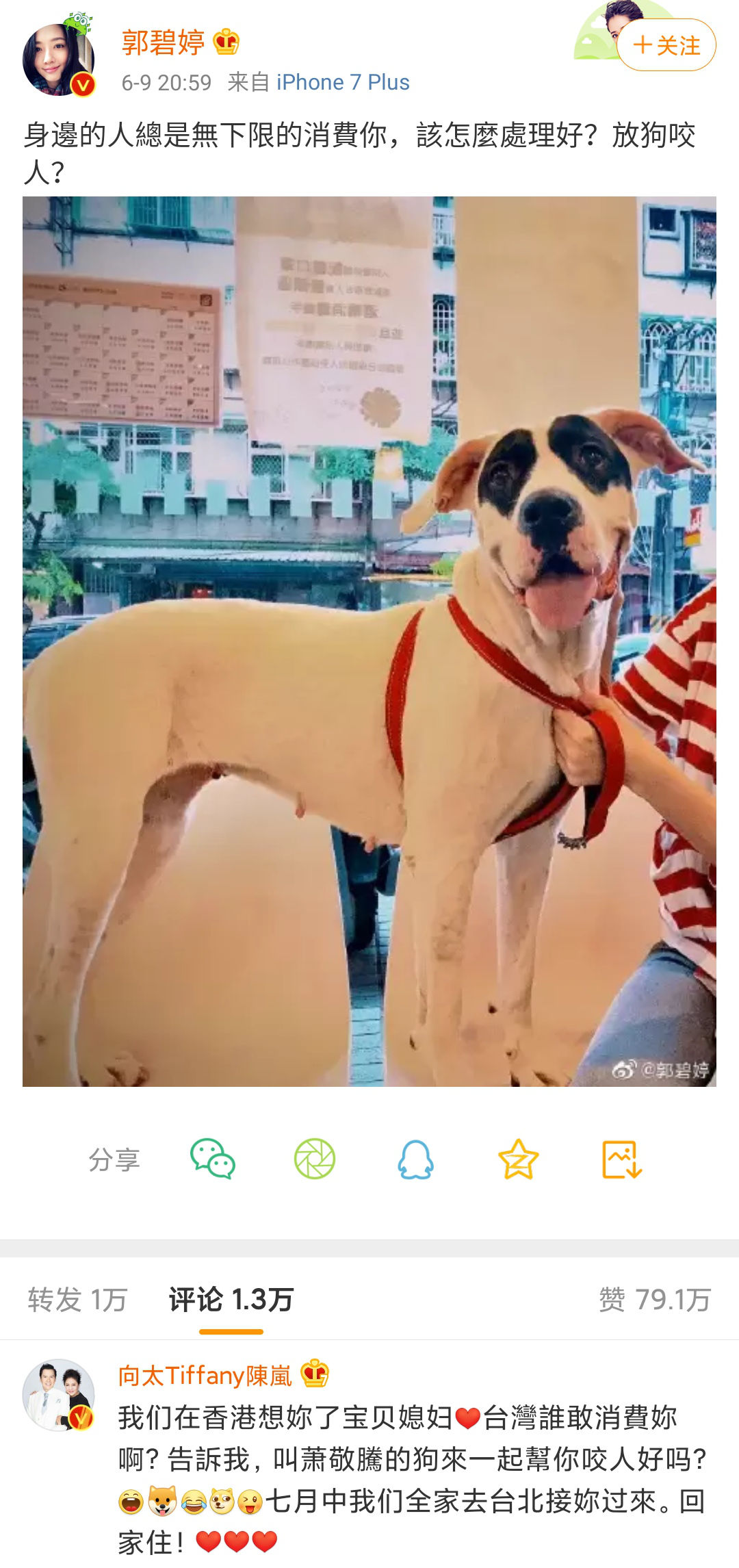 郭碧婷清空向佐相关内容 疑似婚变