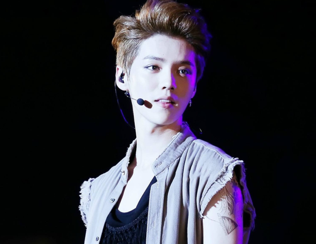 2020鹿晗郑州演唱会