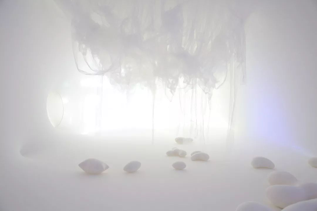 2020舞蹈剧《一切归于晨露》长沙站