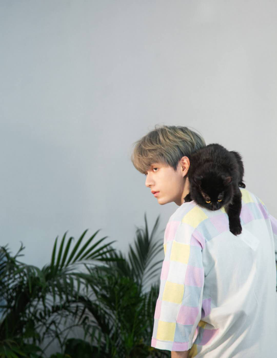 RISE新歌被质疑抄袭 成员张颜齐发微博回应