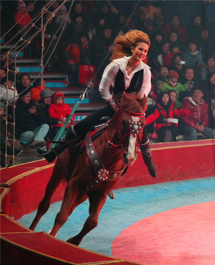 2020欢乐马戏上海站