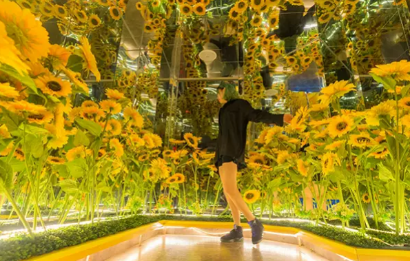 2020上海豫园星空梦幻馆