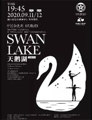 杂技剧《天鹅湖》西安站