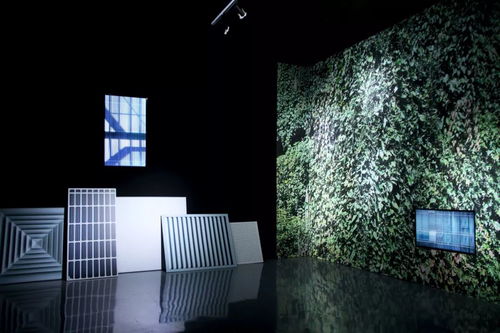 2020三影堂摄影奖作品展