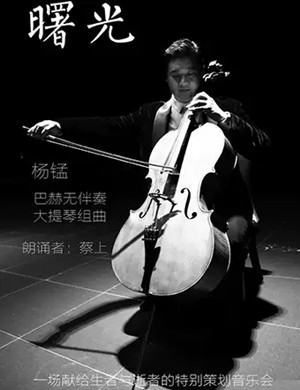 2020杨锰佛山音乐会