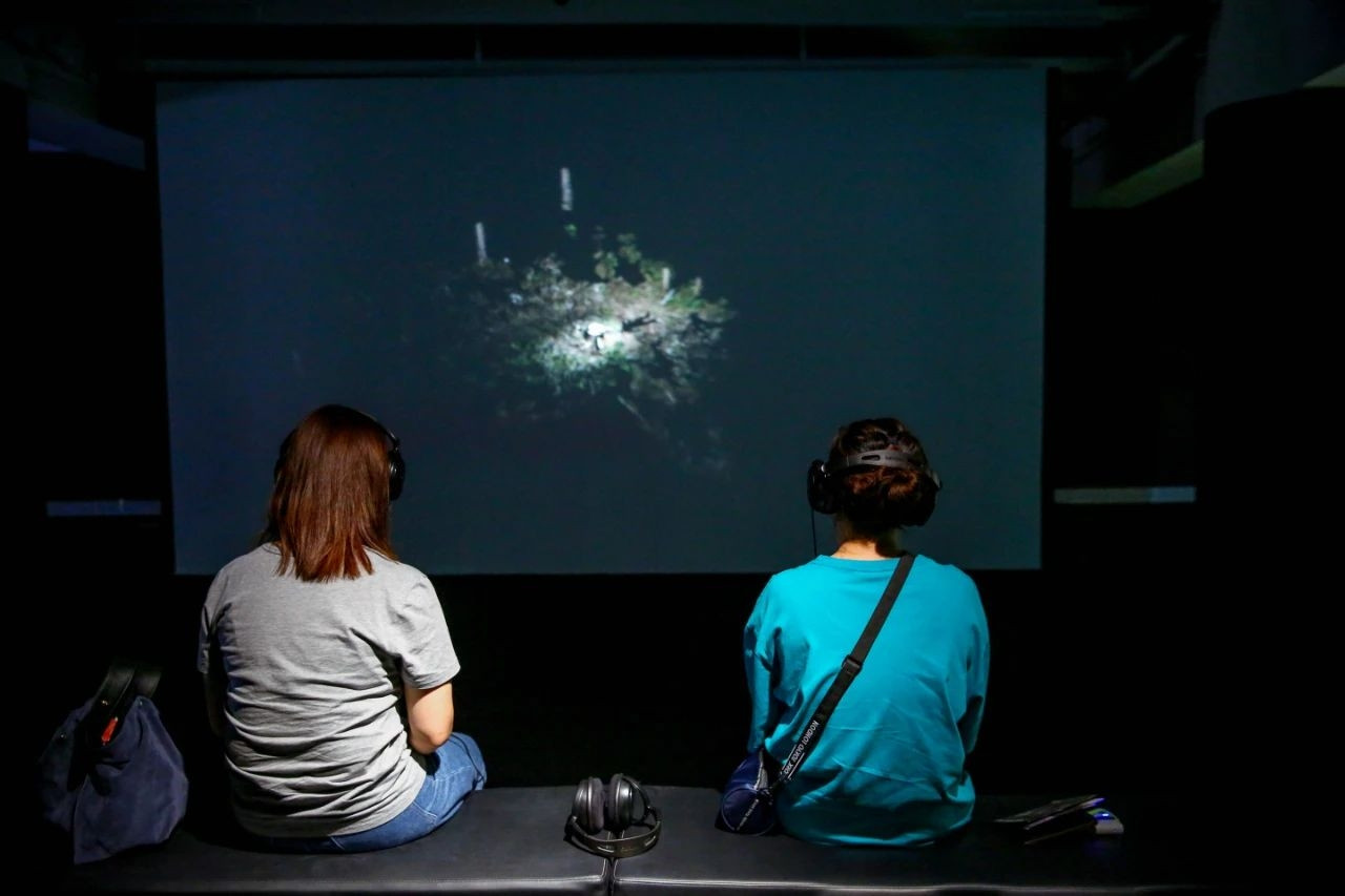 2020成都王郁洋帕森与玛吉特展览