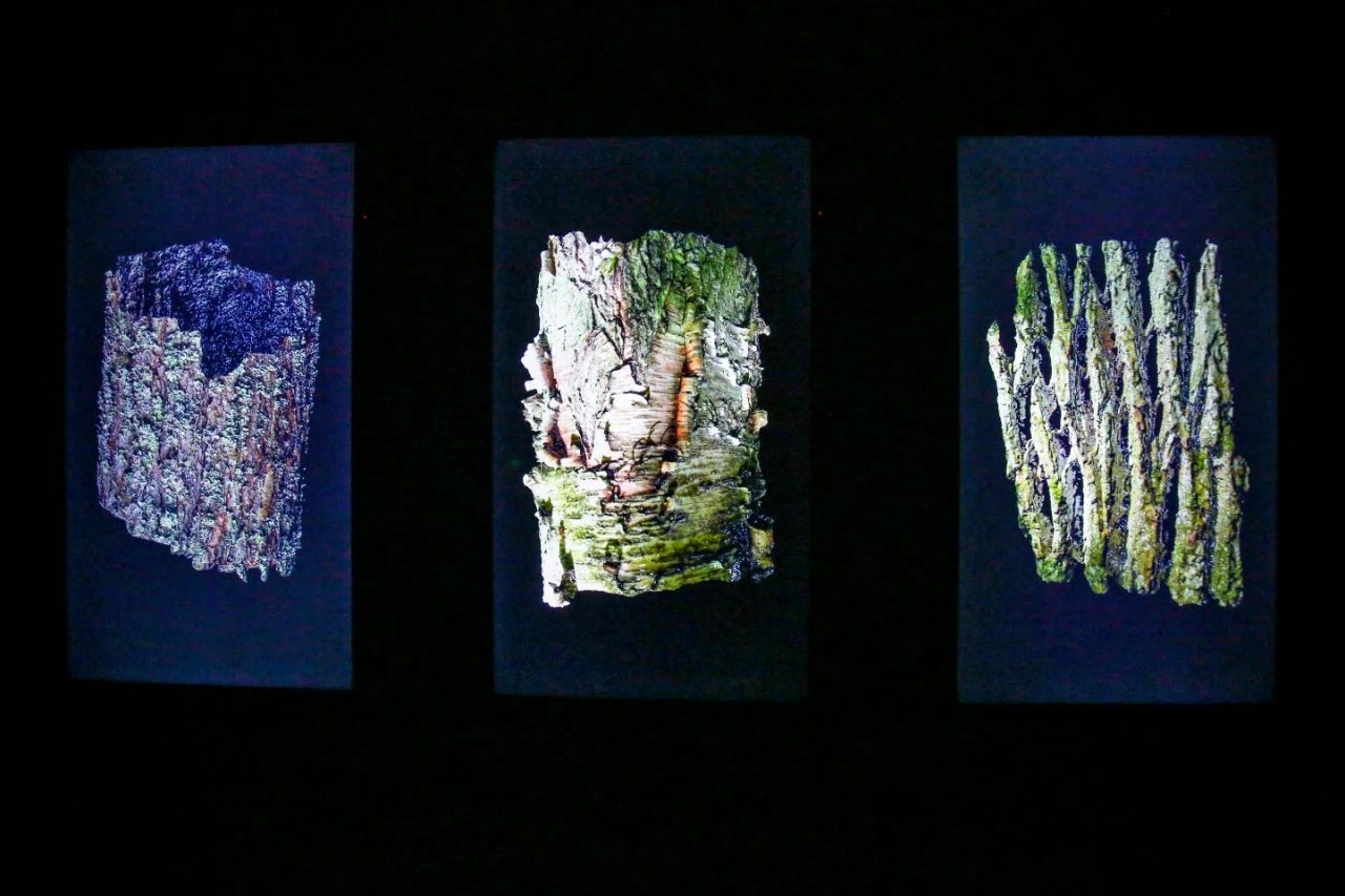 2020成都王郁洋帕森与玛吉特展览