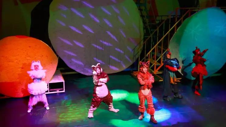 儿童剧《体育场的流浪猫王》丽水站