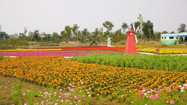 2020蒙城恋蝶谷草地音乐节