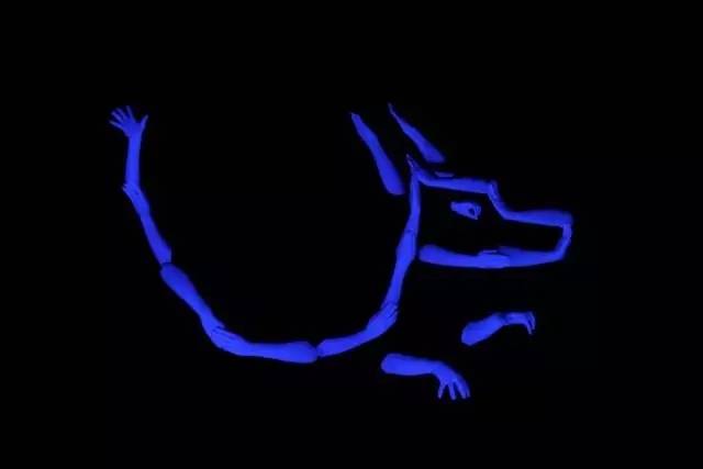 形体剧《魔法师的白手套》泉州站