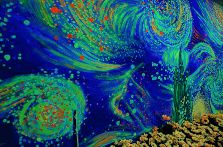 2020南京梵高星空艺术馆