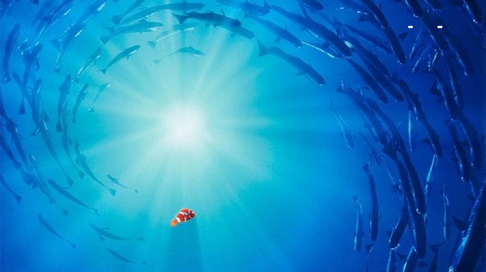 2020音乐剧《海底总动员》珠海站