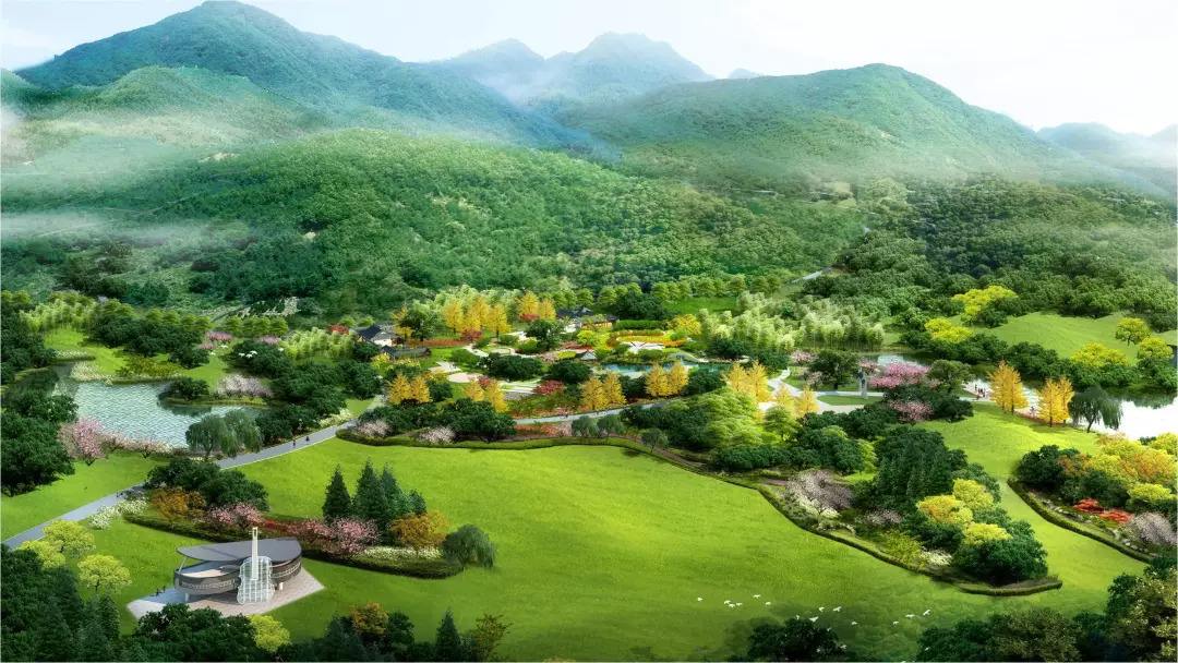 2021成都森林音乐节 2021成都森林音乐节