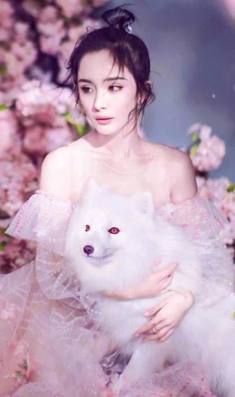 《亲爱的请放松》杨幂吐露内心想法 网友直呼：言行一致