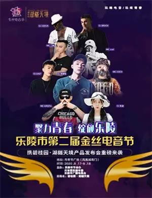 2020乐陵金丝电音节