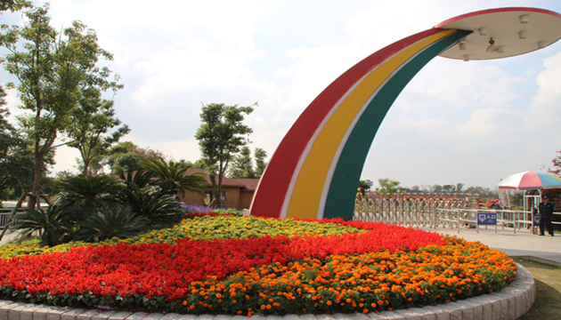 上海周浦花海公园