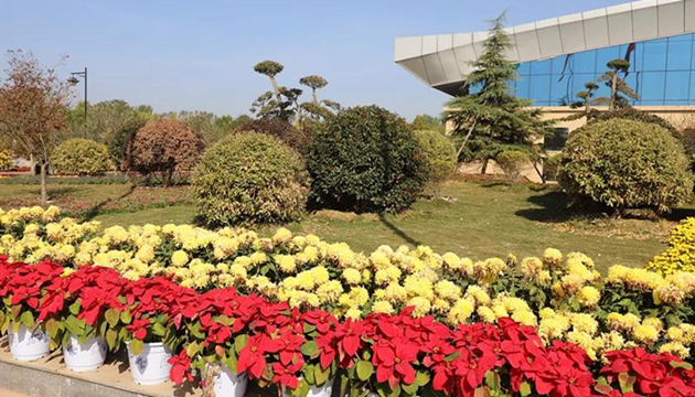 常州西太湖中国花卉博览景区