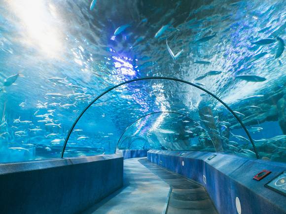 南京海底世界