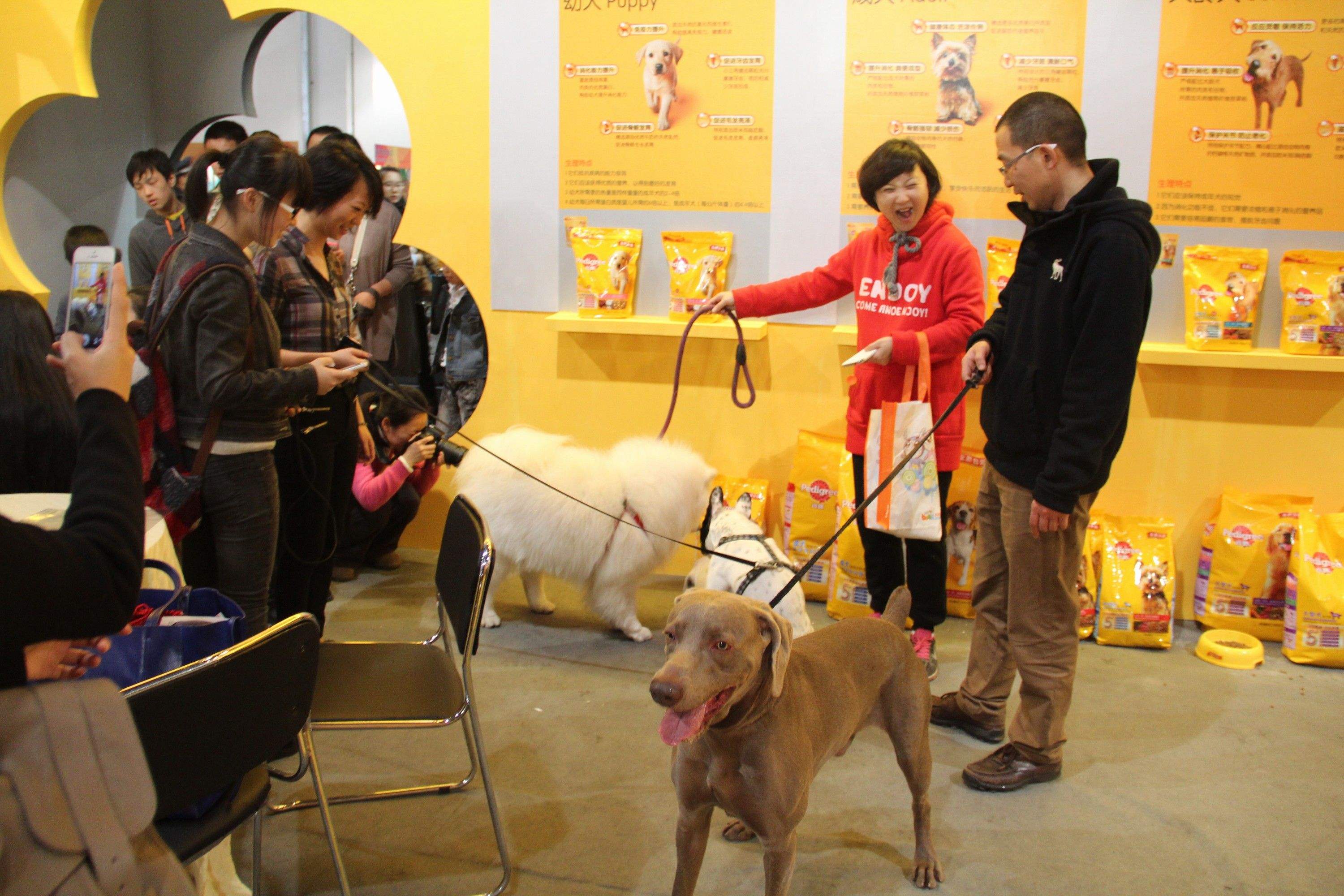 今年的亚洲宠物展览会将会在哪里举办？