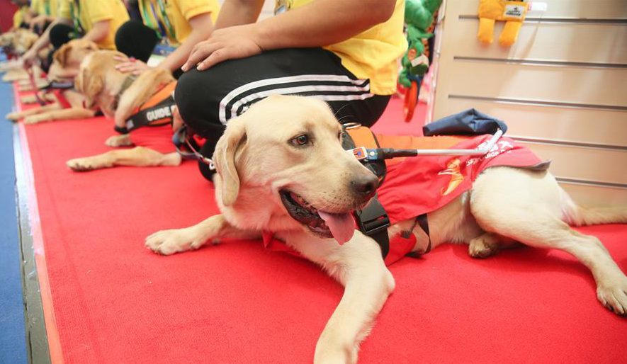 2020上海第23届亚洲宠物展