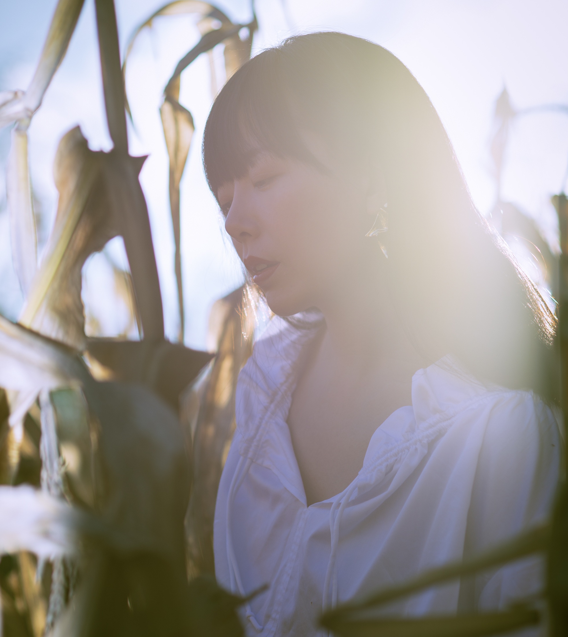 2020仙羽深圳演唱会演出详情(时间、地点、票价)