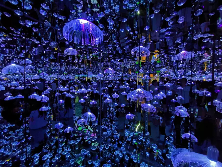 2020南京梵高星空艺术馆