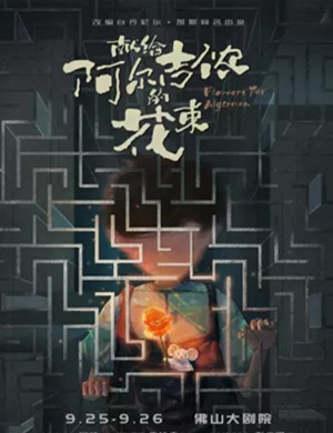 音乐剧《献给阿尔吉侬的花束》佛山站