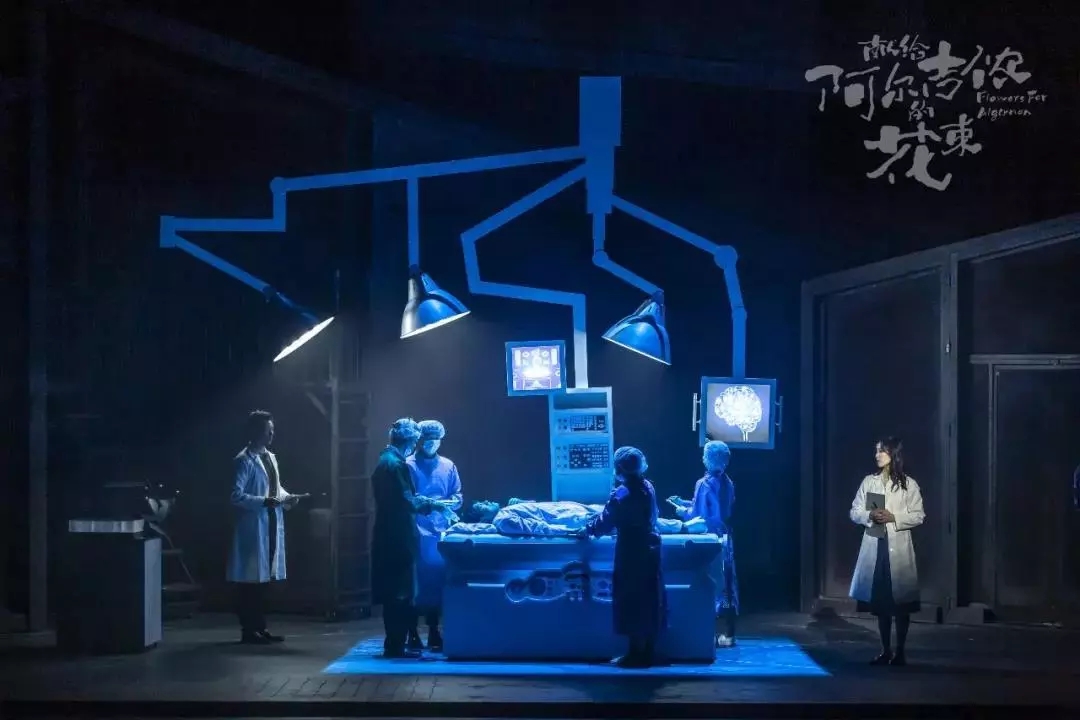 音乐剧《献给阿尔吉侬的花束》佛山站