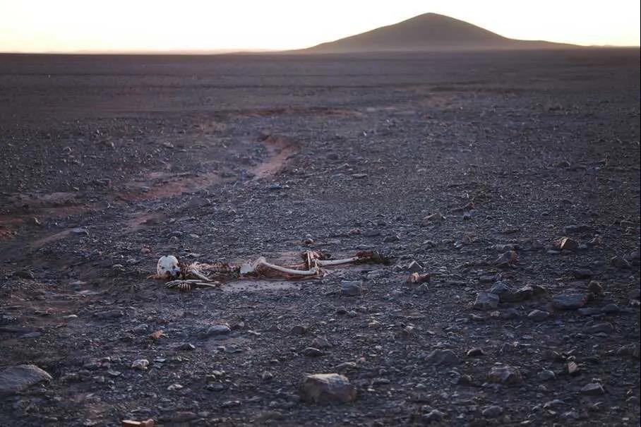 2020北京展览一个人的房间