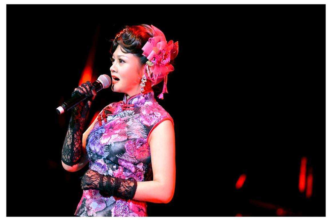 邓丽君经典金曲上海演唱会