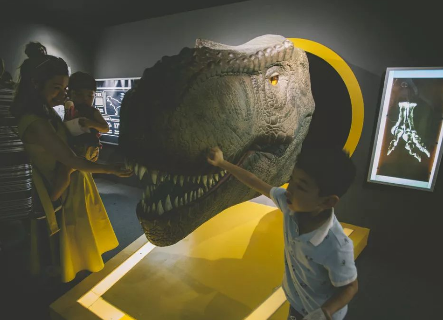 2020太原Dinolab 恐龙实验室