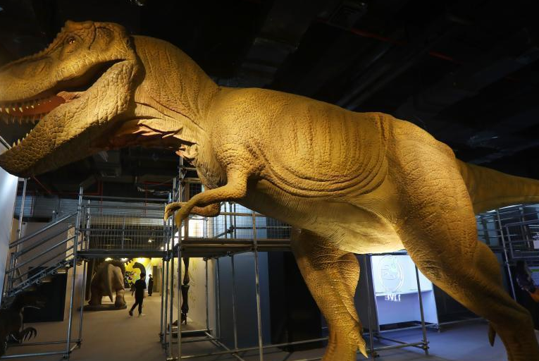 2020太原Dinolab 恐龙实验室