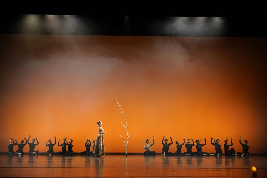 2021芭蕾舞剧《芭蕾精品荟萃》郑州站演出详情（时间、地点、票价）