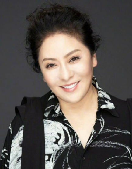 向太陈岚突发心梗入院急救 现在已康复出院