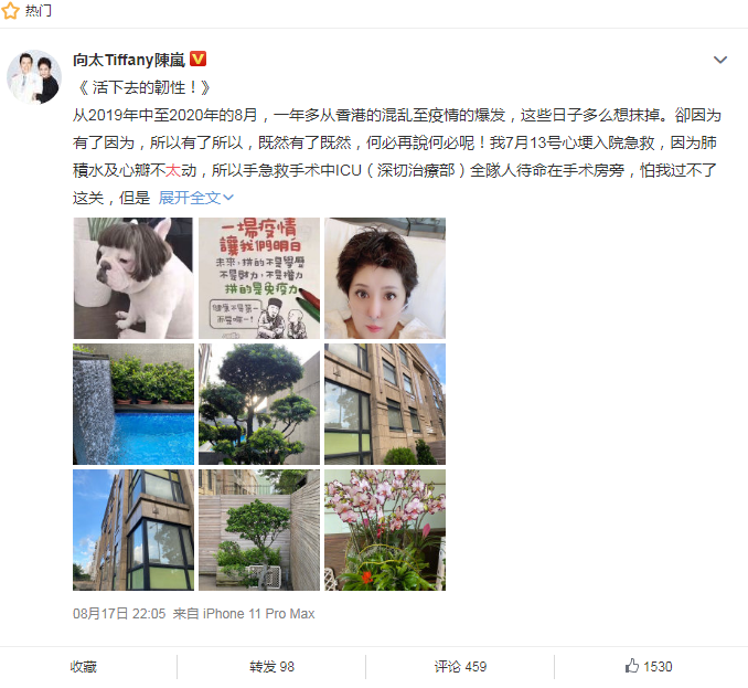 向太陈岚突发心梗入院急救 现在已康复出院