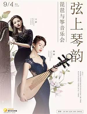 2020弦上琴韵武汉音乐会