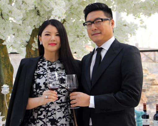 王岳伦表白李湘王诗龄 破离婚的传闻